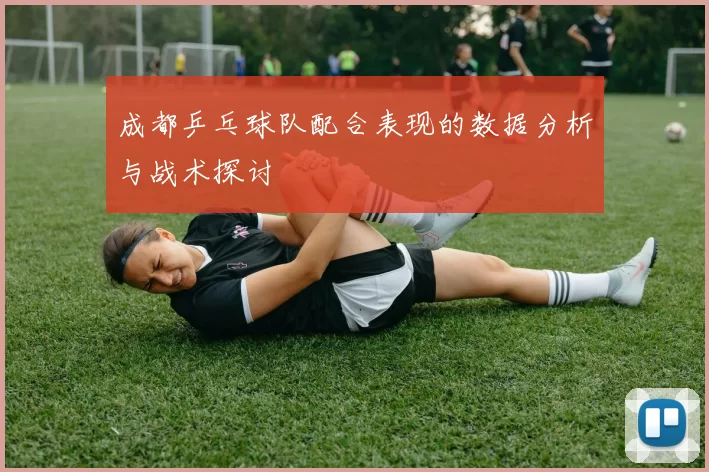 成都乒乓球队配合表现的数据分析与战术探讨