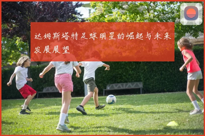 达姆斯塔特足球明星的崛起与未来发展展望