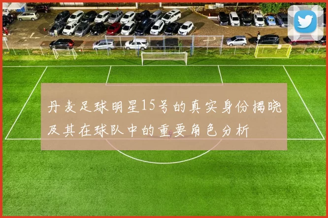 丹麦足球明星15号的真实身份揭晓及其在球队中的重要角色分析
