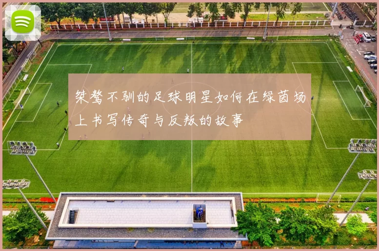 桀骜不驯的足球明星如何在绿茵场上书写传奇与反叛的故事