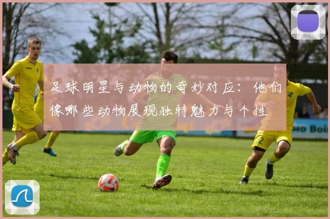 足球明星与动物的奇妙对应：他们像哪些动物展现独特魅力与个性