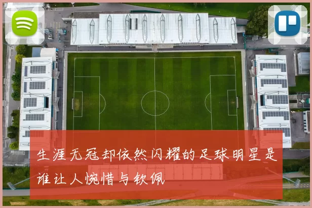 生涯无冠却依然闪耀的足球明星是谁让人惋惜与钦佩
