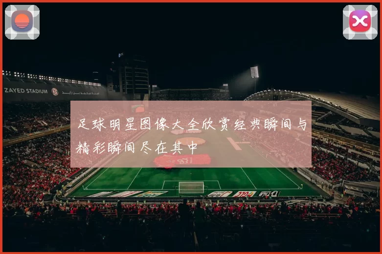 足球明星图像大全欣赏经典瞬间与精彩瞬间尽在其中