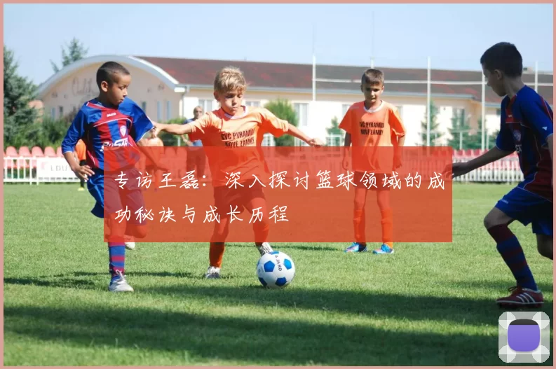 专访王磊：深入探讨篮球领域的成功秘诀与成长历程