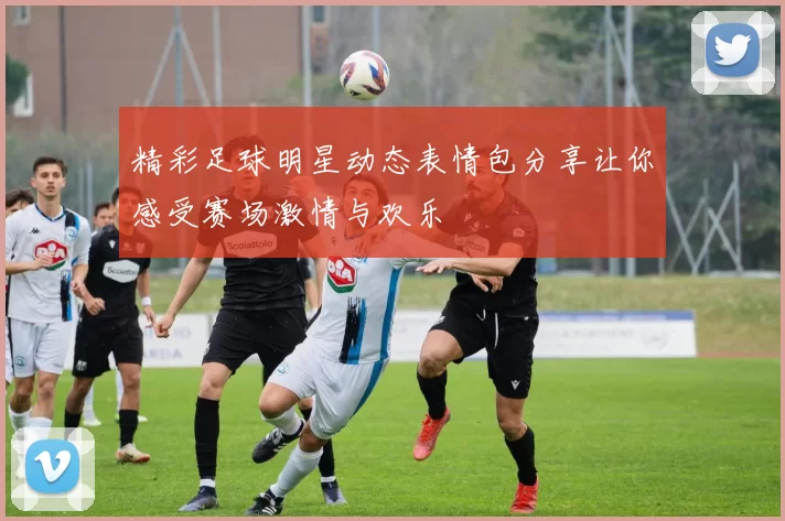 精彩足球明星动态表情包分享让你感受赛场激情与欢乐