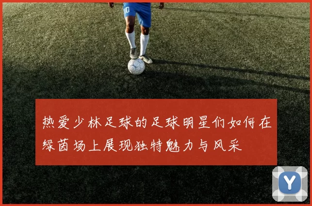热爱少林足球的足球明星们如何在绿茵场上展现独特魅力与风采