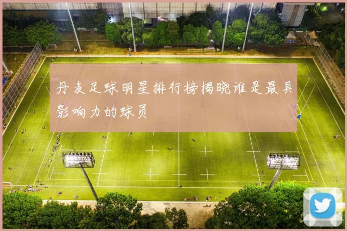 丹麦足球明星排行榜揭晓谁是最具影响力的球员