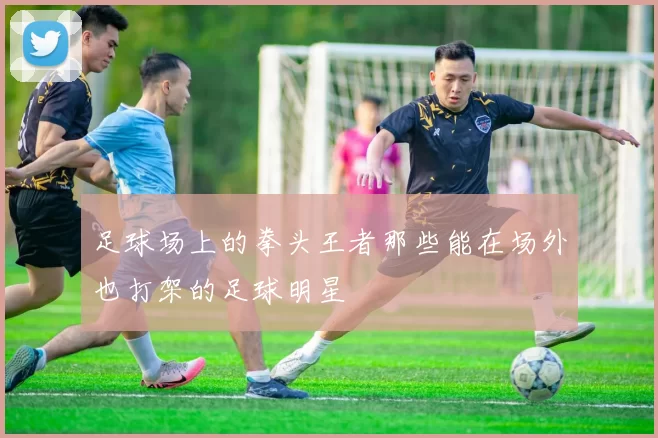 足球场上的拳头王者那些能在场外也打架的足球明星