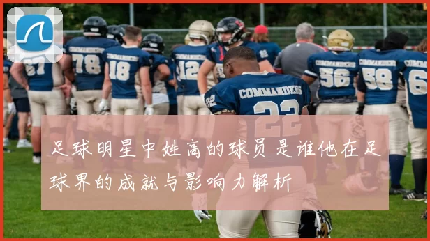 足球明星中姓高的球员是谁他在足球界的成就与影响力解析