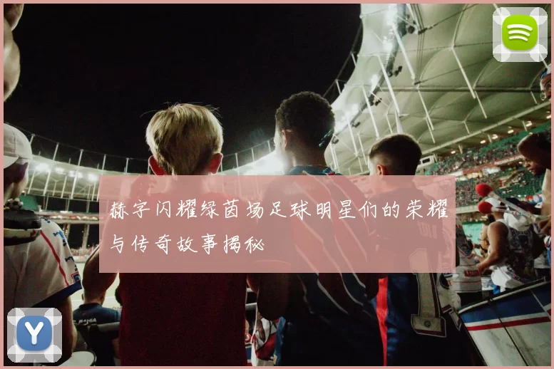 赫字闪耀绿茵场足球明星们的荣耀与传奇故事揭秘