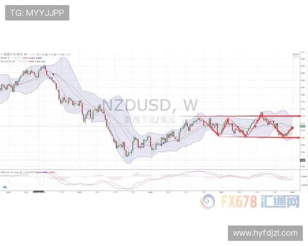 聚焦中超赛场深度解析球队战术走势与最新争冠格局动态前瞻趋势展 聚焦中超赛场深度解析球队战术走势与最新争冠格局动态前瞻趋势展