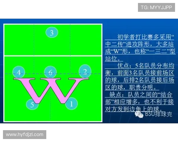 南京排球队控制打法深度分析与战术解读