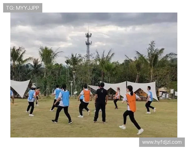 飞盘之路：见证北京飞盘队拼搏与成长的真实故事