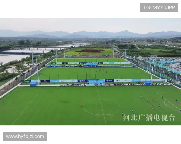 围绕足球俱乐部发展的城市体育生态新格局与产业融合多维路径探索